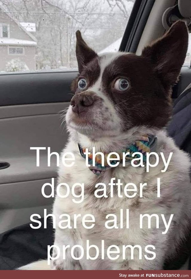 Therapy dog is a good listener