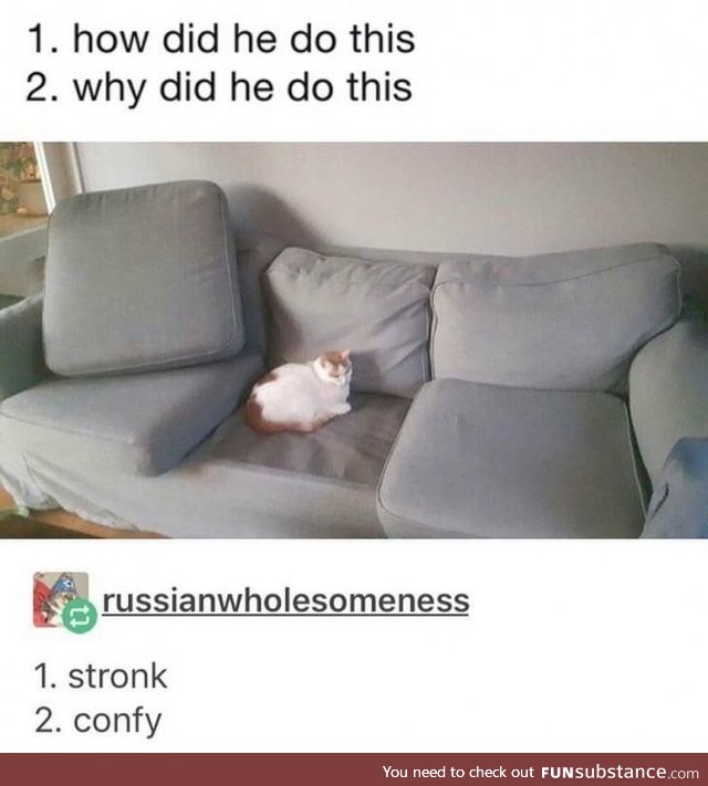 Stronk