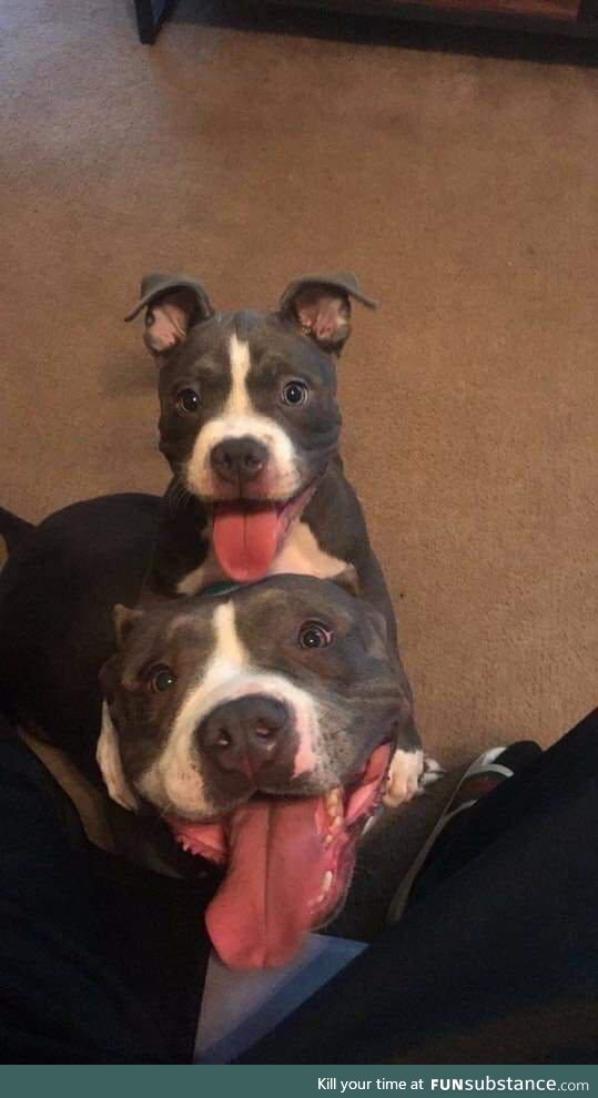 Genetics are good with this one