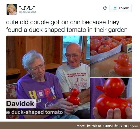 Duckmato