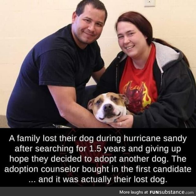 This makes me happy