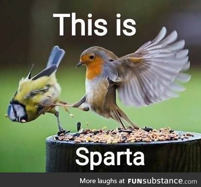 This is Sparta!! ????????
