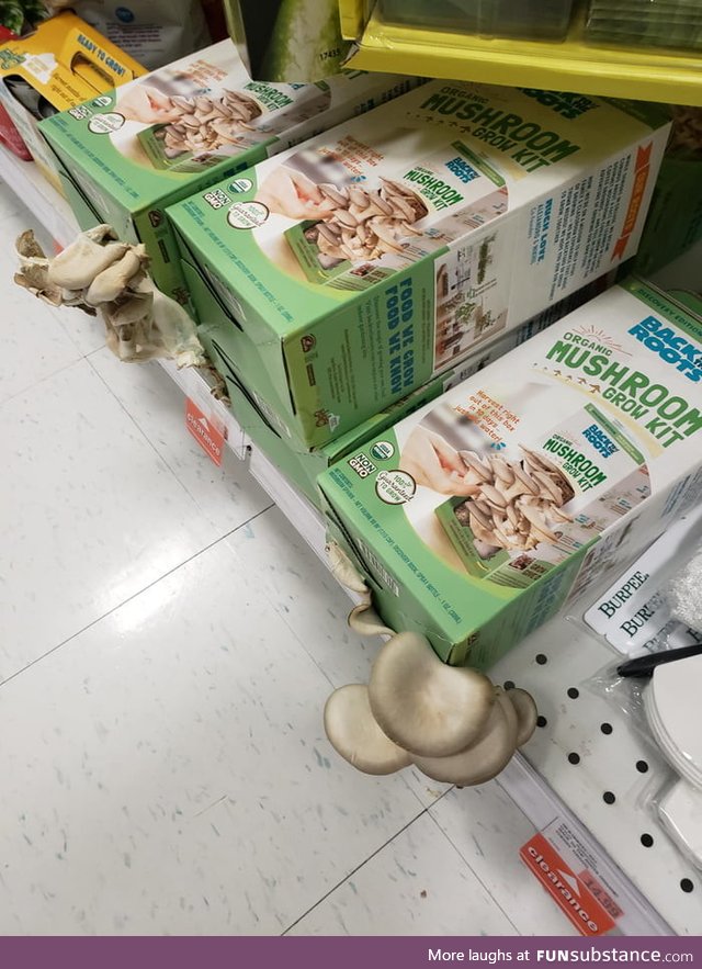 Mushroom growing kits working a little bit too well