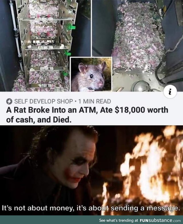 Love this rat