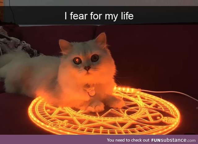 Too cute to be evil