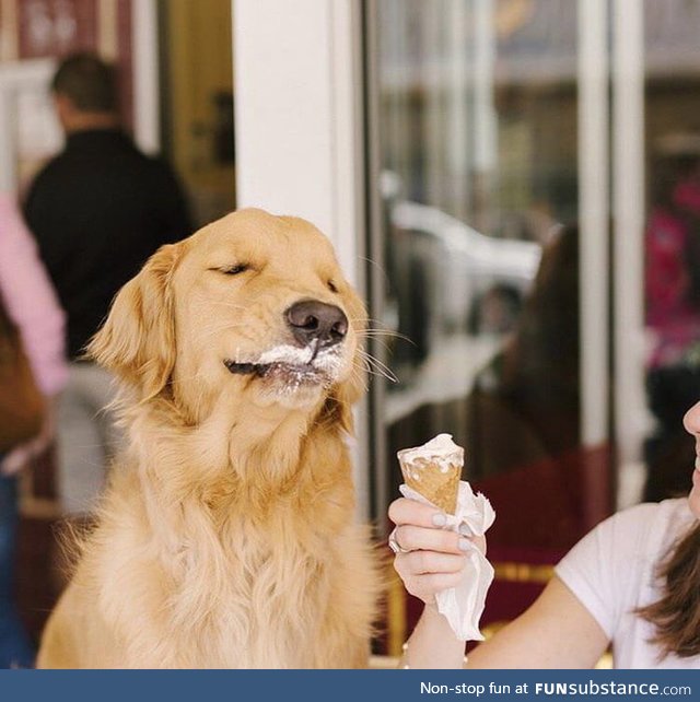 A dog tasting ice cream