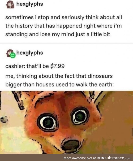 Plastic dinosaurs are made of real dinosaurs