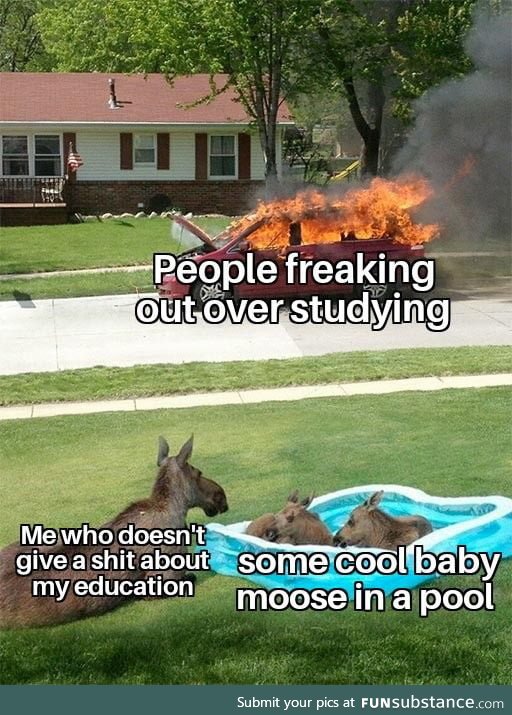 My life is a mess