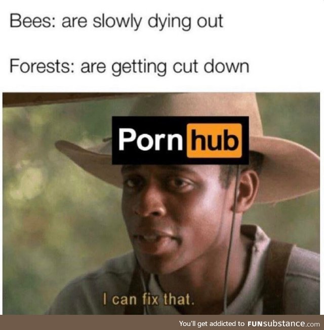 They can fix anything