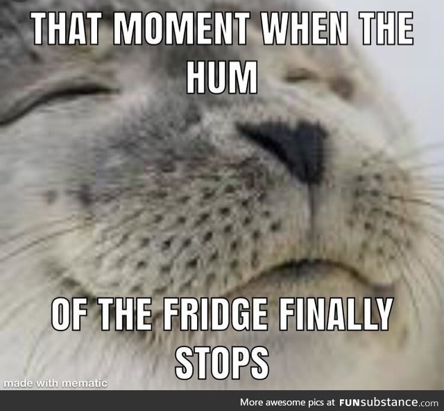 This is especially true when you’re living in a small apartment or your fridge is loud