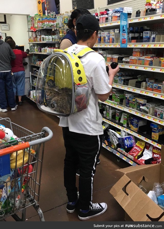 My brother’s cat carrying backpack