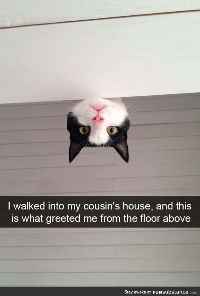 Greetings