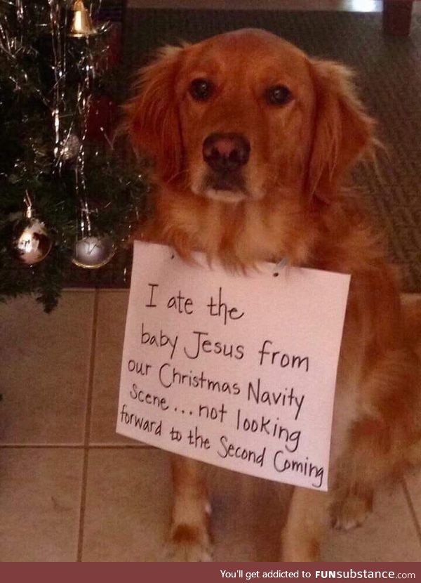 Not looking forward to a second coming