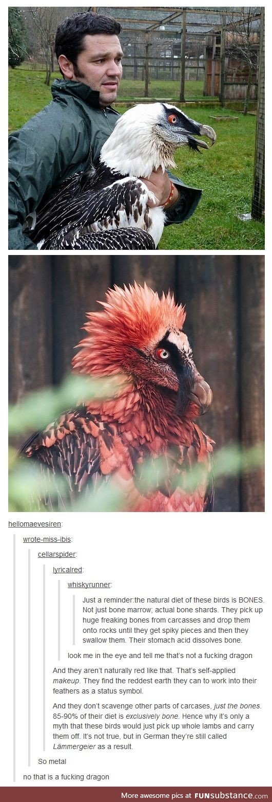 Dinosaurs