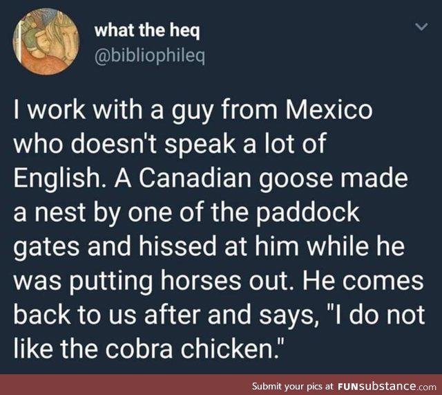 Cobra chicken