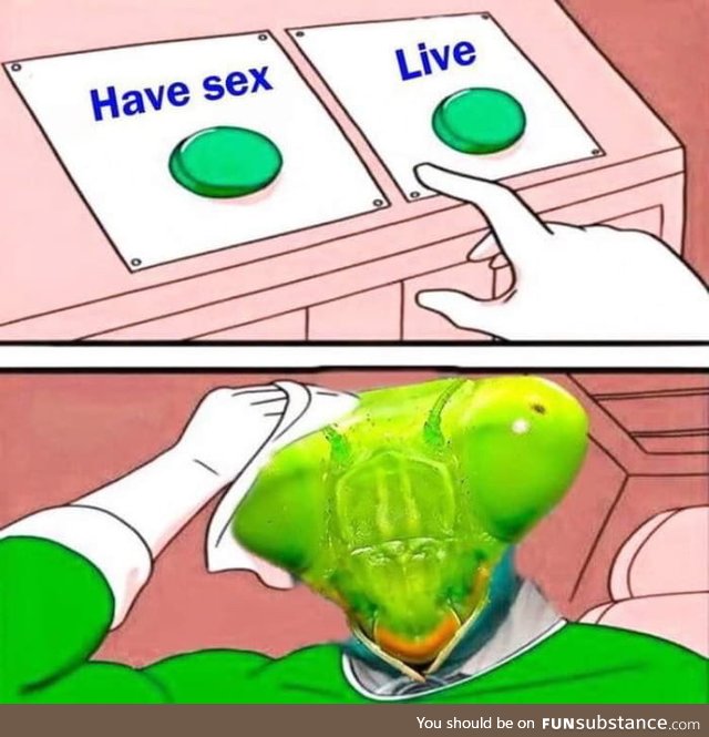 Choices choices