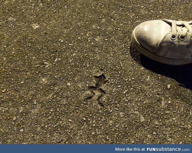 Rip in peace mr. Frogger