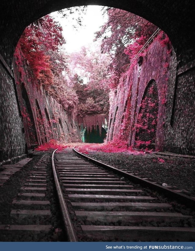 Le petite ceinture, paris, france