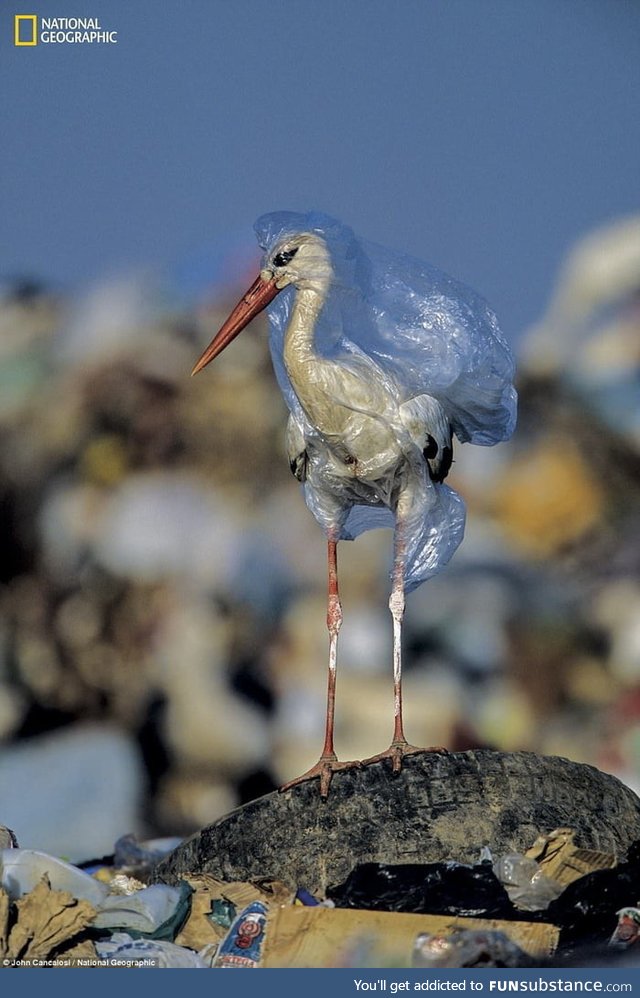 It's heartbreaking how little we care about environment. What an absolute disgrace