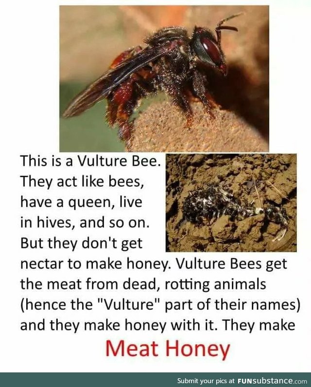 For your information