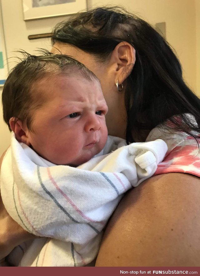 This baby has perfected the "are they using my driveway to turn around??" look