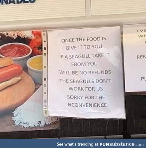 Seagull outsourcing
