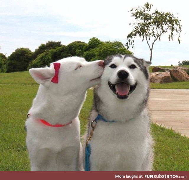A sweet kiss