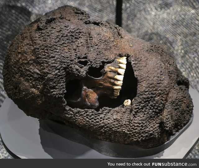 Skull still in chainmail from Battle of Visby, 1361