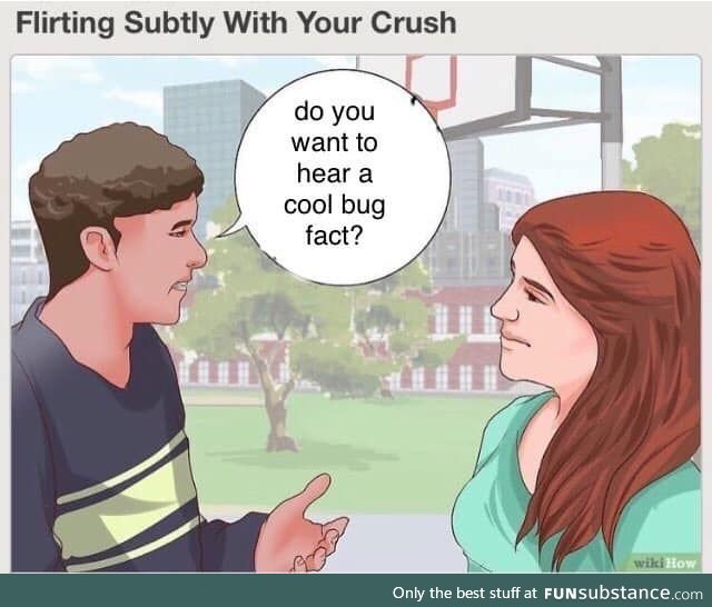 Cool bug facts