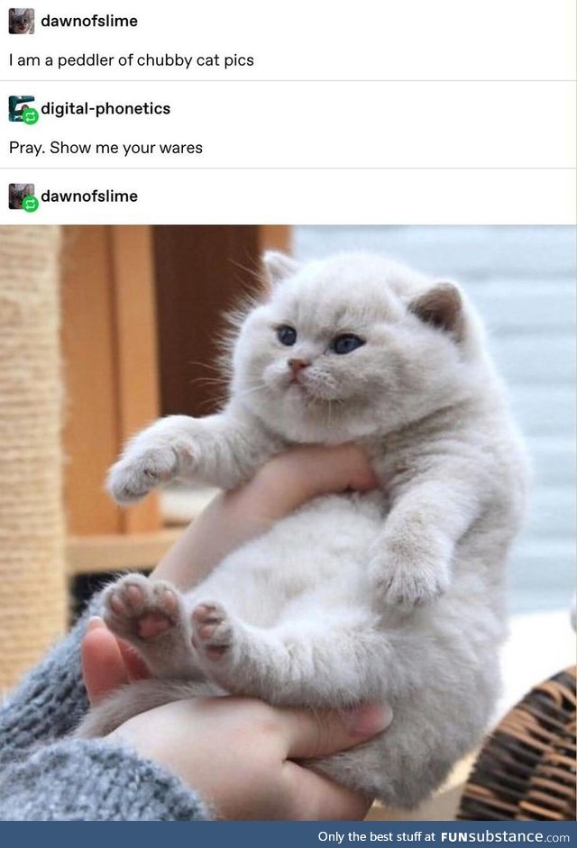 Chonky