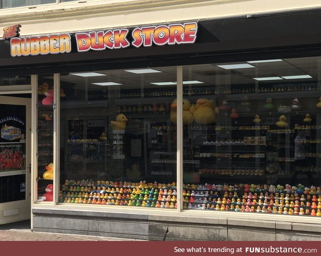 The Rubber Duck Store, Amsterdam. Yup, that's really a thing