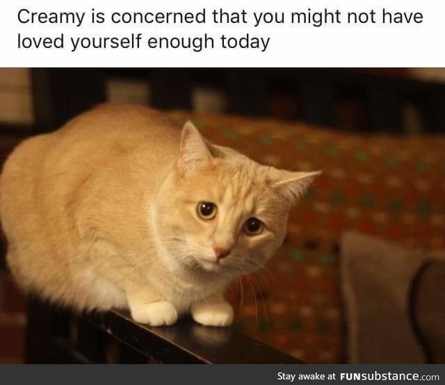 Have you?