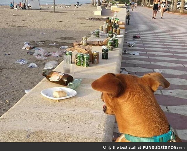 Dogs are not allowed but people are!
