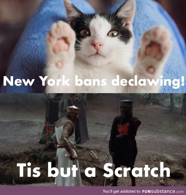 New York bans Cat Declawing!