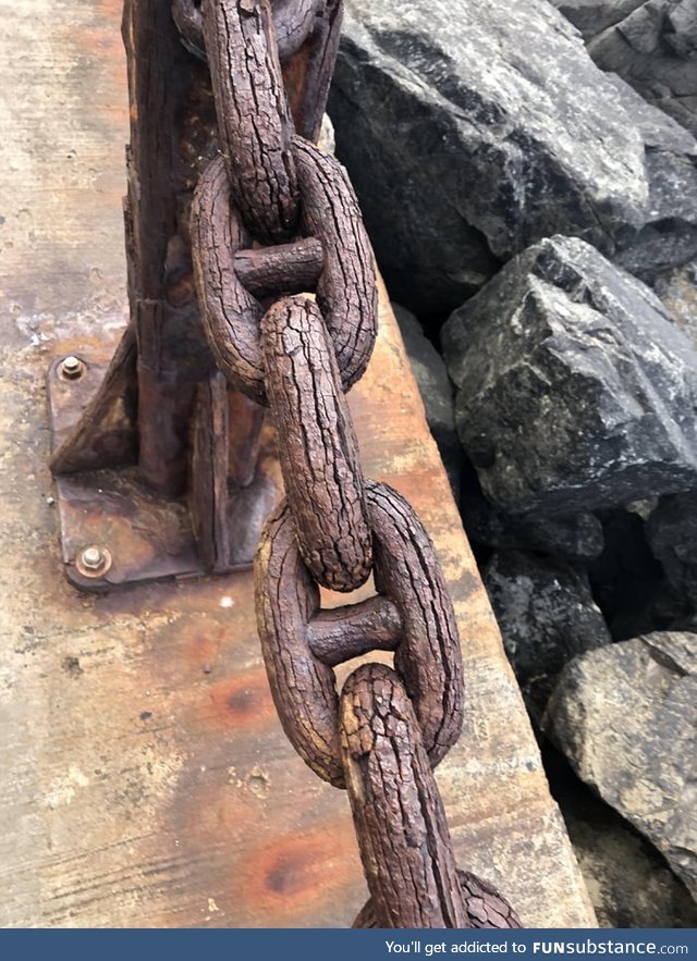 This chain is so old and rusted it looks like wood