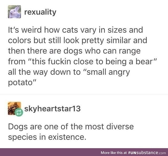Species