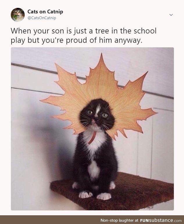 Handsome boi