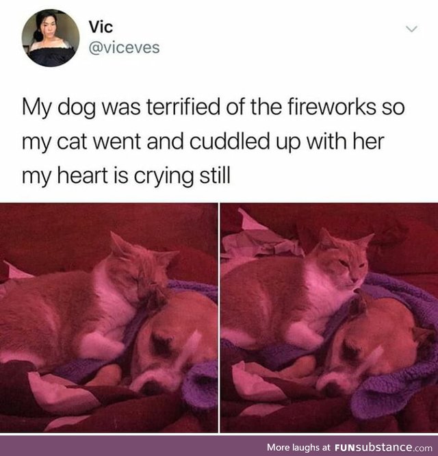 That's sweet