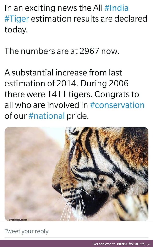 Something good is at least happening