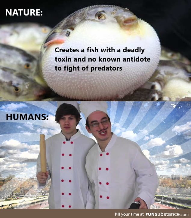 Yo that fish looks tasty
