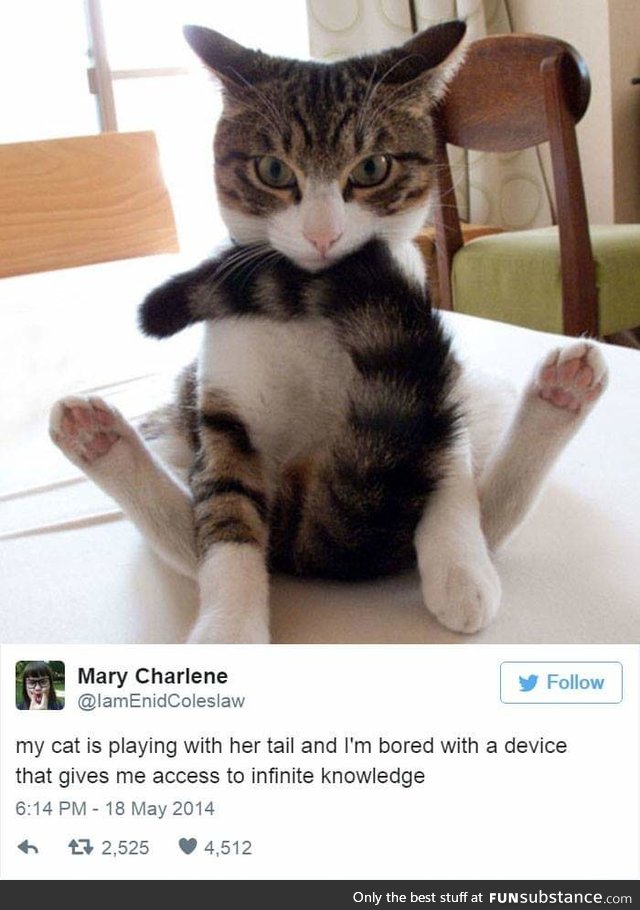 Toe beans