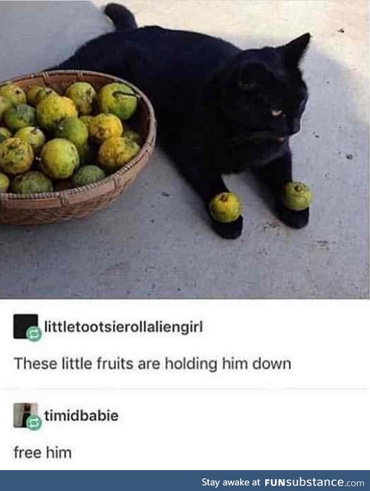 Froot