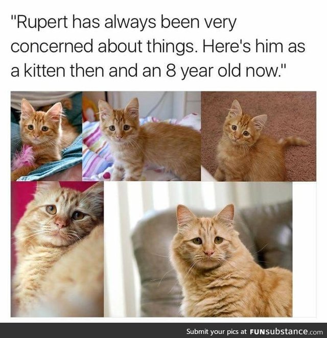 What's wrong, Rupert?