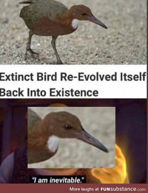 They said it couldn't be done