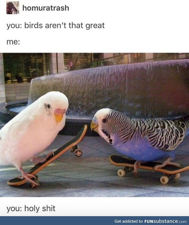 *kick flips*