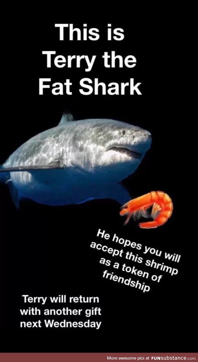 We never got another terry the shark, bring him back every Wednesday please!