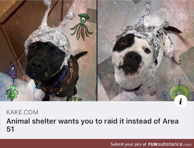 Come one guys let's help these good boys