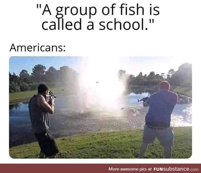 Why I never got homeschooled