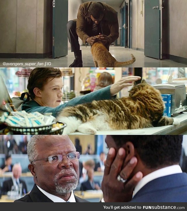 Cat pets in Marvel movies