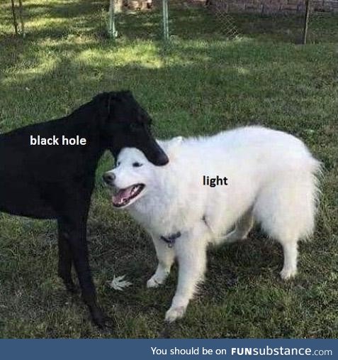 Science, b*tch